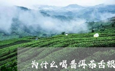 为什么喝普洱茶舌根发酸/2023122004047