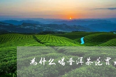 为什么喝普洱茶范胃病/2023062118272