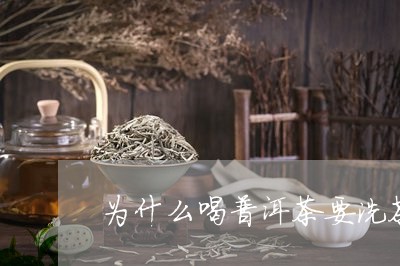 为什么喝普洱茶要洗茶/2023062324362