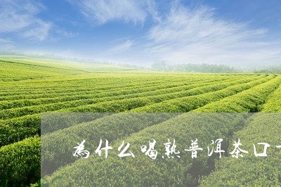 为什么喝熟普洱茶口干/2023073070673