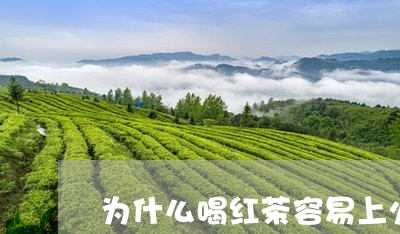 为什么喝红茶容易上火/2023060871737