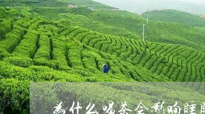 为什么喝茶会影响睡眠/2023071555069