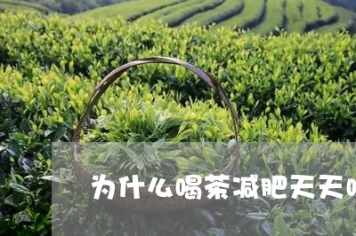 为什么喝茶减肥天天喝茶能瘦吗/2023060104067