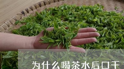 为什么喝茶水后口干/2023042259805