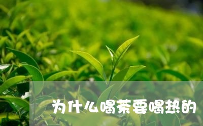 为什么喝茶要喝热的/2023042267471