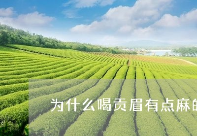 为什么喝贡眉有点麻的感觉/2023062765815