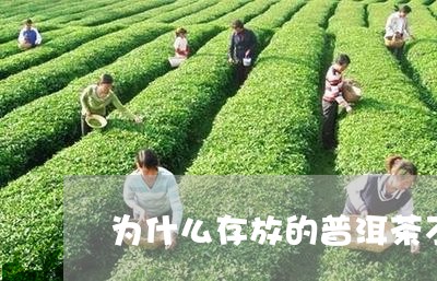 为什么存放的普洱茶不香/2023082776172