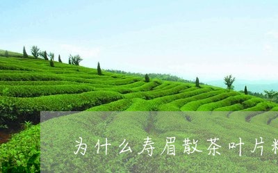 为什么寿眉散茶叶片粗大/2023092407139