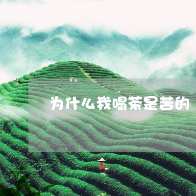 为什么我喝茶是苦的/2023042287058