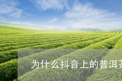 为什么抖音上的普洱茶这么便宜/2023053043616