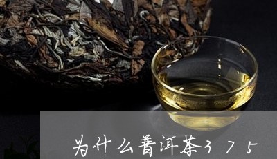 为什么普洱茶375/2023070896379