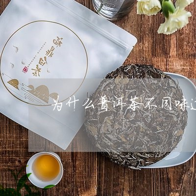 为什么普洱茶不同味道/2023100677596