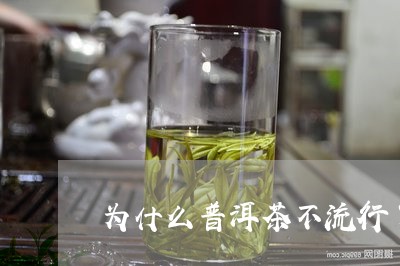 为什么普洱茶不流行了/2023093040582