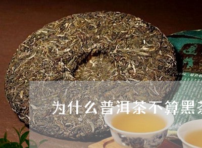 为什么普洱茶不算黑茶呢/2023082876369