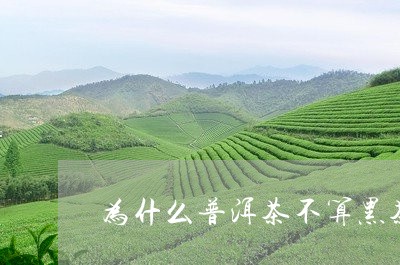 为什么普洱茶不算黑茶类/2023082817250