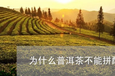 为什么普洱茶不能拼配/2023092973916