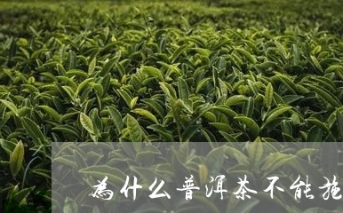 为什么普洱茶不能施肥/2023100851627