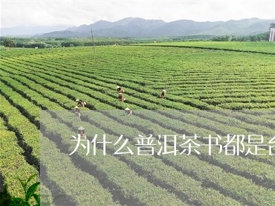 为什么普洱茶书都是台湾人/2023051382793