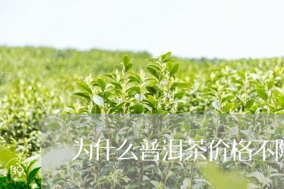 为什么普洱茶价格不降/2023100685186