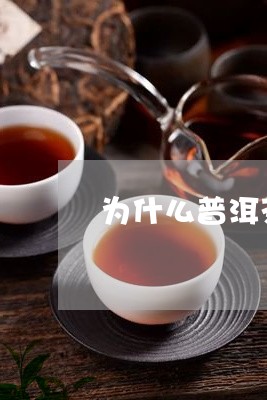 为什么普洱茶做成饼茶不香/2023112471725