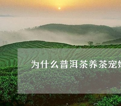 为什么普洱茶养茶宠好/2023062347460