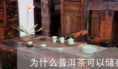 为什么普洱茶可以储存一年/2023112562515