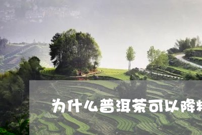 为什么普洱茶可以降糖/2023120650483