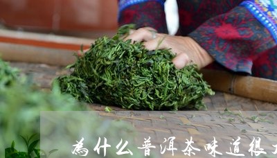 为什么普洱茶味道很大/2023100571596