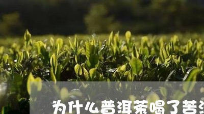 为什么普洱茶喝了苦涩的感觉/2023052858278