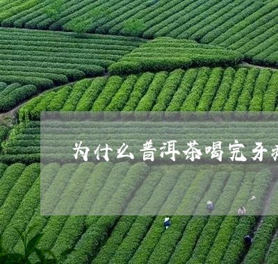 为什么普洱茶喝完牙疼/2023062726250