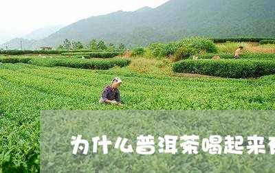 为什么普洱茶喝起来有股怪味/2023052893734