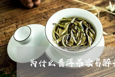 为什么普洱茶容易醉茶/2023100784936