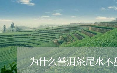 为什么普洱茶尾水不甜/2023092995949