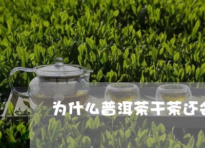 为什么普洱茶干茶还会有水分/2023102503725