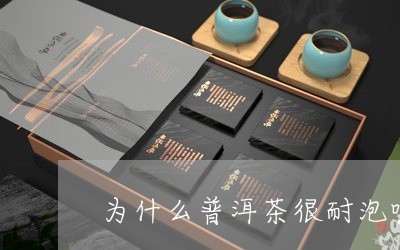 为什么普洱茶很耐泡呢怎么回事/2023082830461