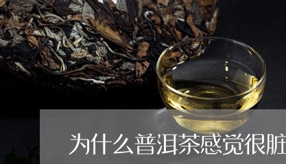 为什么普洱茶感觉很脏/2023062885150