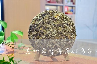 为什么普洱茶排名第一/2023092941693