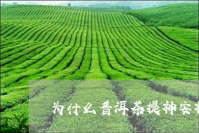 为什么普洱茶提神安神/2023080130502