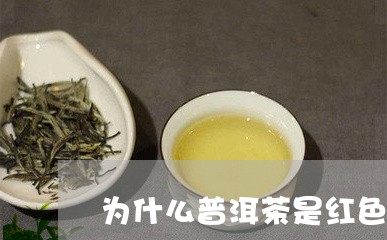 为什么普洱茶是红色的/2023062170605