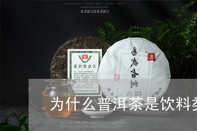 为什么普洱茶是饮料类/2023120680515