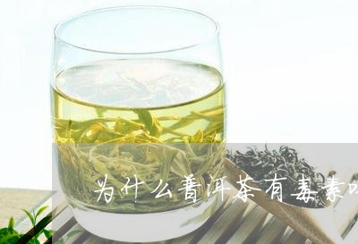 为什么普洱茶有毒素味道/2023102465160