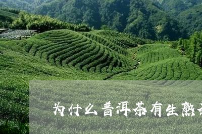 为什么普洱茶有生熟茶味/2023110372606