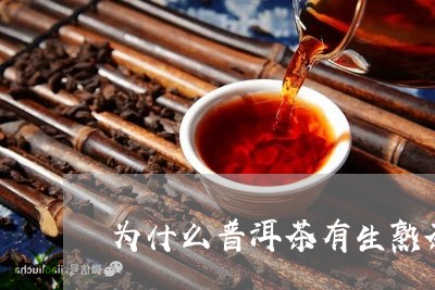 为什么普洱茶有生熟茶的味道/2023110495149