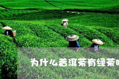 为什么普洱茶有绿茶味/2023092971815