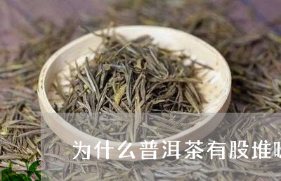 为什么普洱茶有股堆味/2023092796481