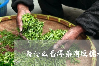 为什么普洱茶有股糯米香味/2023082858360