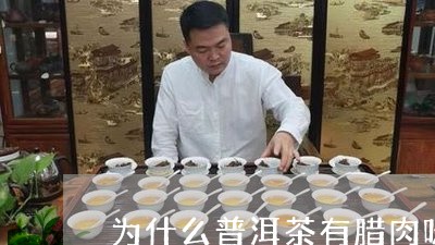 为什么普洱茶有腊肉味/2023062127269