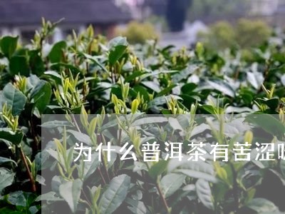 为什么普洱茶有苦涩味儿/2023081737157