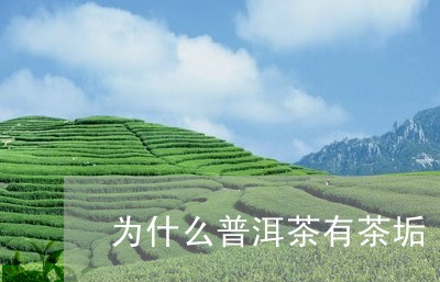 为什么普洱茶有茶垢/2023071072714