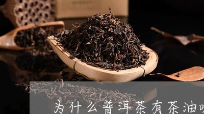 为什么普洱茶有茶油味儿/2023082807260